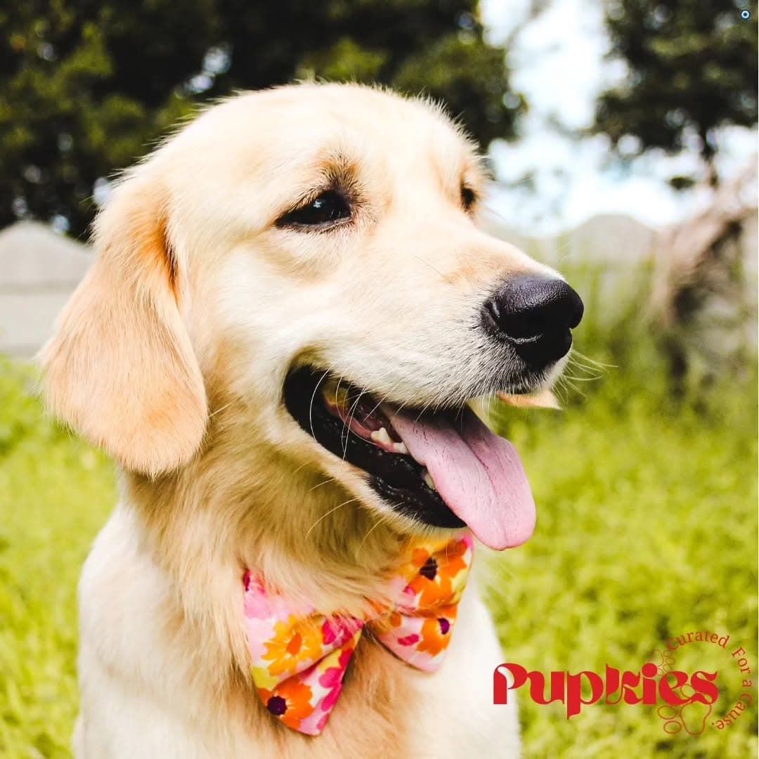 Floral Sunset Bow Tie