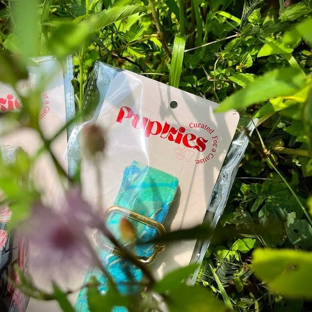 Tropical Print Collar Belt